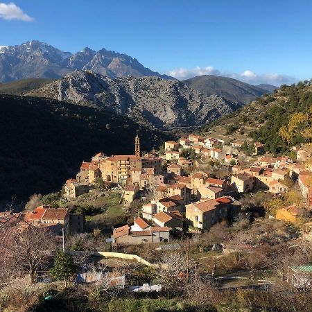 Charmant F2 Dans Joli Village Corse Omessa エクステリア 写真