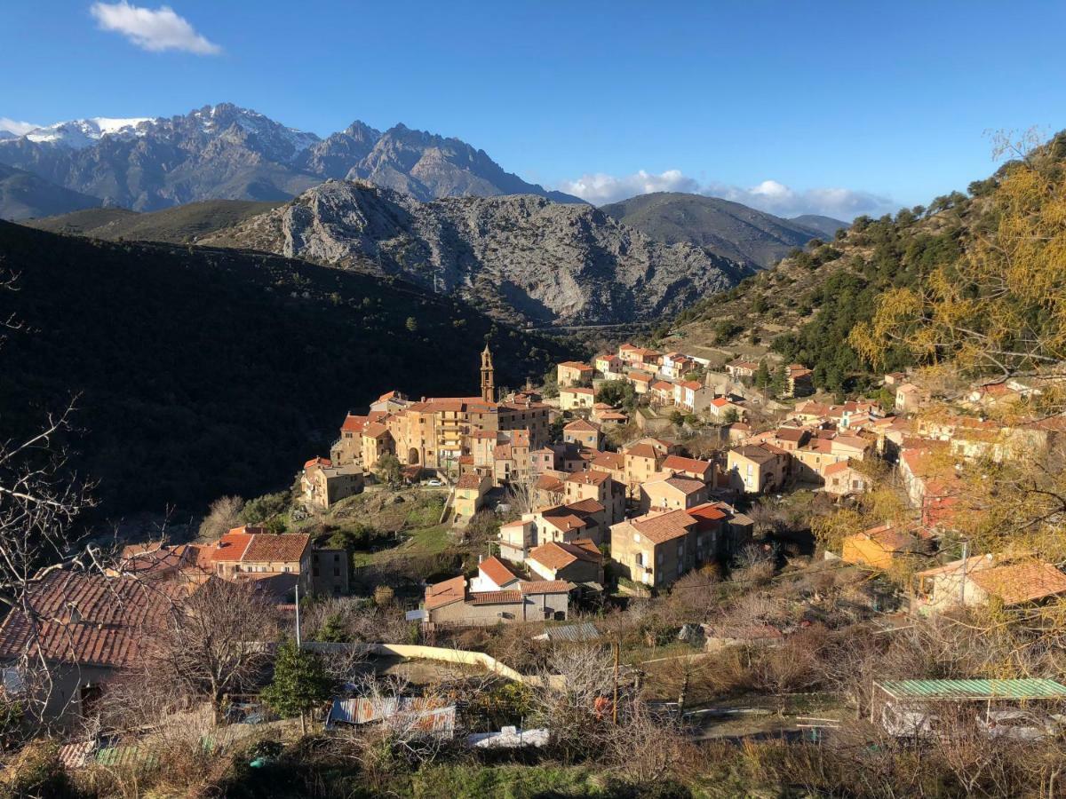 Charmant F2 Dans Joli Village Corse Omessa エクステリア 写真