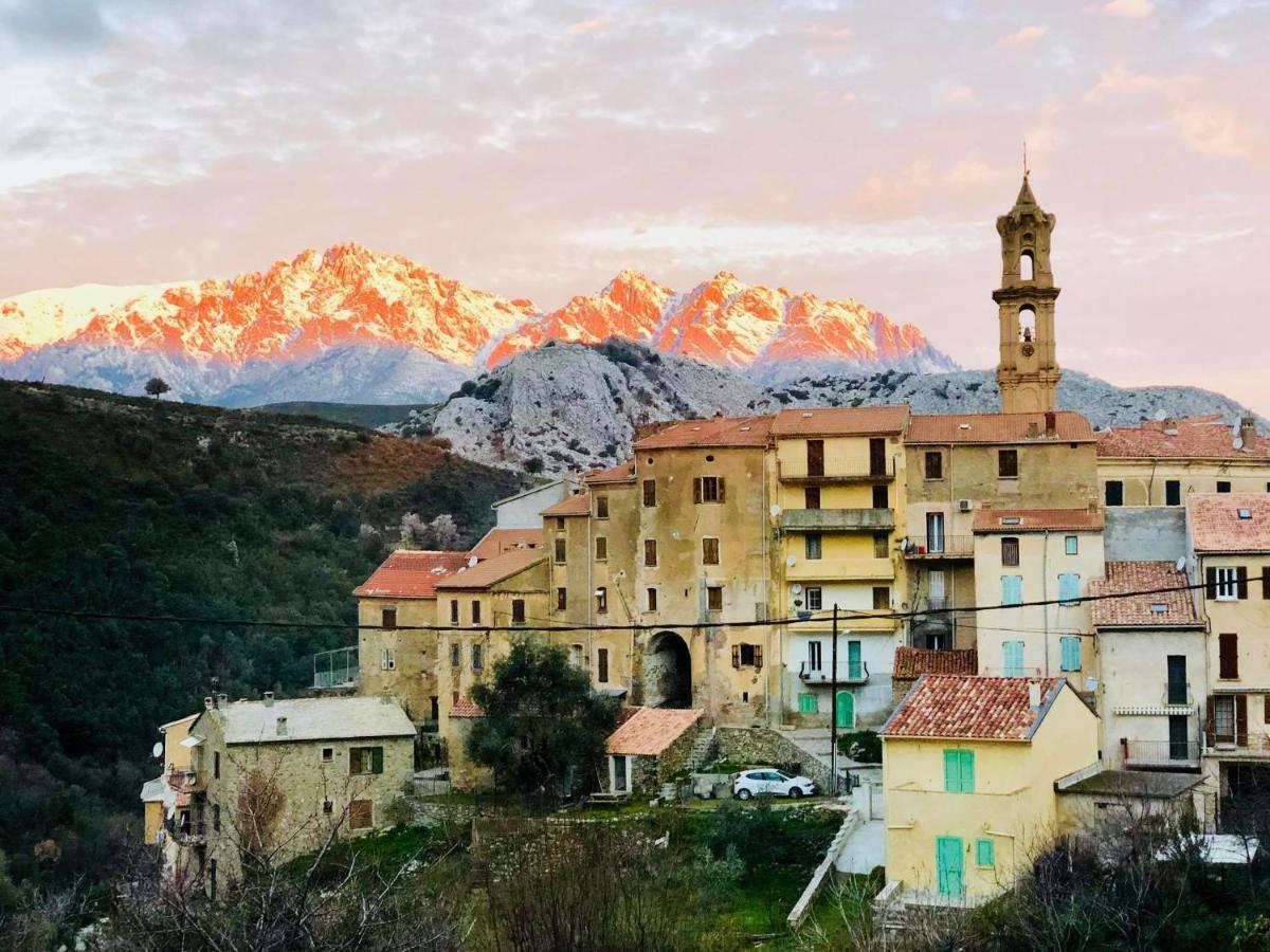Charmant F2 Dans Joli Village Corse Omessa エクステリア 写真